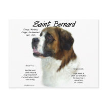 Saint Bernard (rough) History Design