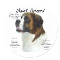 Saint Bernard (rough) History Design