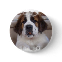 Saint Bernard Round Button