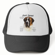 Saint Bernard (smooth) History Design