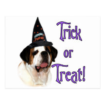 Saint Bernard Trick Postcard
