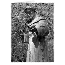Saint Francis Blank Greeting Card