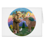 Saint Francis - Shetland Pony Greeting Card