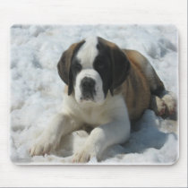 Saint_mousepad mousepads