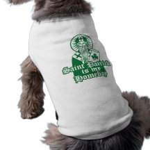 Saint Patrick is my Homeboy Pet Shirt