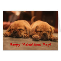 Saint-Valentin de Puggle Carte