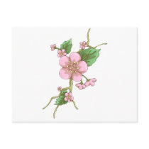 Sakura Blossoms Postcard