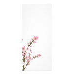 Sakura Invitation