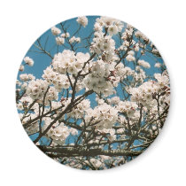sakura fridge magnets