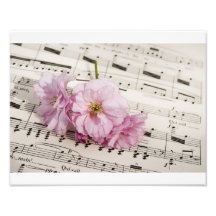 Sakura Song Photo Art