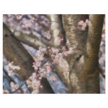 Sakura - Spring Blossom Personalized Letterhead
