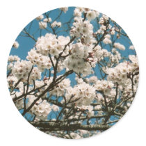 sakura sticker