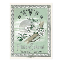 Sakura Vintage Japanese Silk Label Postcards