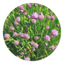 Salad Onion Blooming with Purple Blossoms Stickers