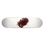 Salamander Skateboard Decks