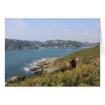 Salcombe Estuary, Devon Card