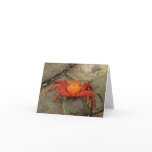 Sally Lightfoot Crab notecard