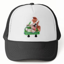 sally wagon hat