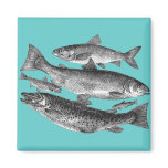 Salmon and Trout Family Fridge Magnets