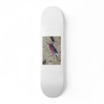 Salmon DC@ skateboards