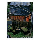 Salmon Drying on Racks at Kaltag Greeting Card