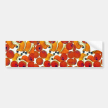 Salmon Eggs and Fry Bumper Stickers