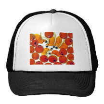 Salmon Eggs and Fry Hat
