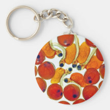 Salmon Eggs and Fry Key Chain