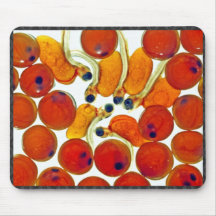 Salmon Eggs and Fry Mousepads