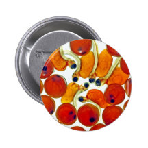 Salmon Eggs and Fry Pin