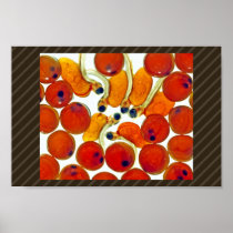 Salmon Eggs and Fry Poster