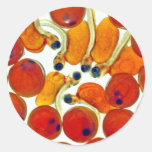 Salmon Eggs and Fry Round Stickers