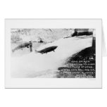 Salmon Jumping Alaska 1907 cards