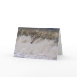 Salmon Jumping cards