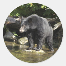 "Salmon Spotting" Black Bear Gifts Round Stickers