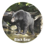 "Salmon Spotting" Black Bear Wildlife Stickers