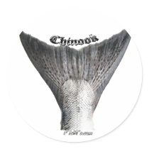 Salmon Tails-FishTails the hottest new style