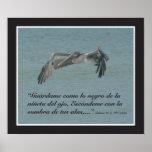 Salmos 17:8 con Pelicano (Cartel) Posters