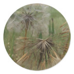 Salsify Seeds in Field Stickers