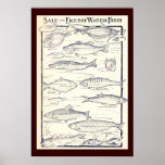 Salt and Fresh Water Fish Poster