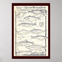 Salt and Fresh Water Fish Poster