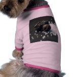 Salt And Pepper Pet Shirt