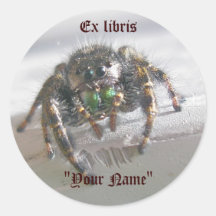 Salticid Jumping Spider Ex libris Stickers
