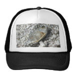 Salton Sea Trucker Hat
