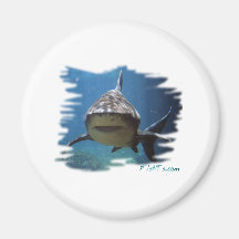 Saltwater Collection by FishTs.com Fridge Magnets