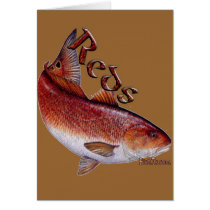 Saltwater Collection of Fish
