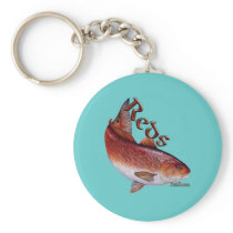 Saltwater Collection of Fish