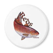 Saltwater Collection of Fish