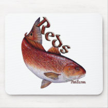 Saltwater Collection of Fish