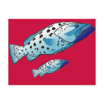Saltwater Collection of Fish